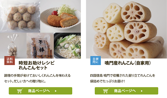 徳島産れんこん 鳴門金時 お歳暮ギフト（送料無料） | れんまる